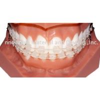 Sell Orthodontic Amora Ceramic Easthetic Bracket
