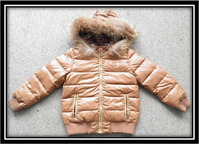 Boy's Down Jacket with Hood