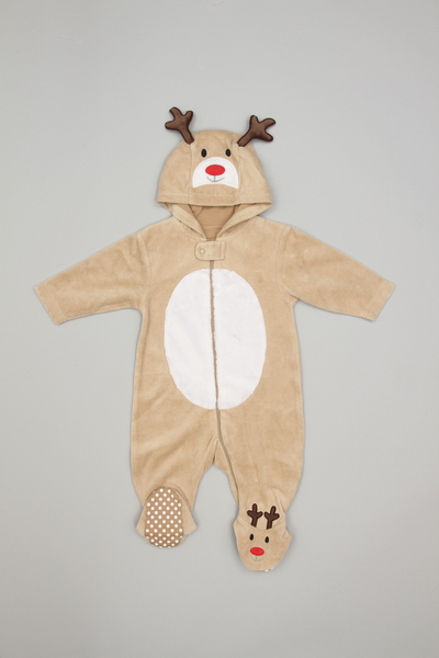 Reindeer