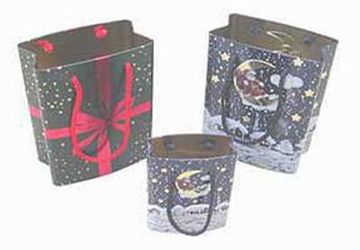 Set of 3 shopping box