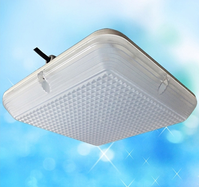 LED Ceiling Light