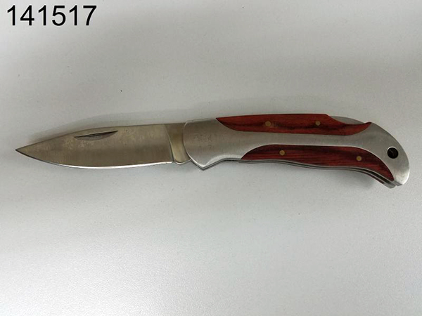 Stainless Steel Lock Back Knife