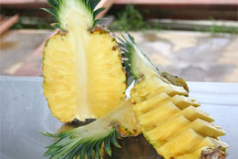 Pineapple