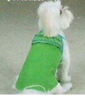 Small Dog Clothes
