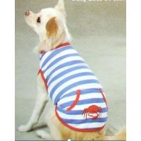 Beautiful Dog Clothes