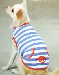 Beautiful Dog Clothes