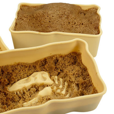 Fossil Hunter Cup Cake Mold