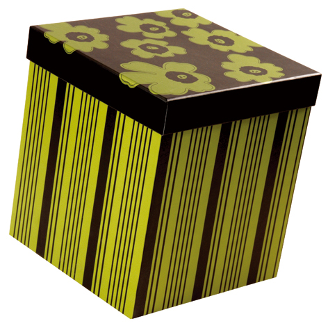 PB-Hard-Cardboard-Box-HCB0043