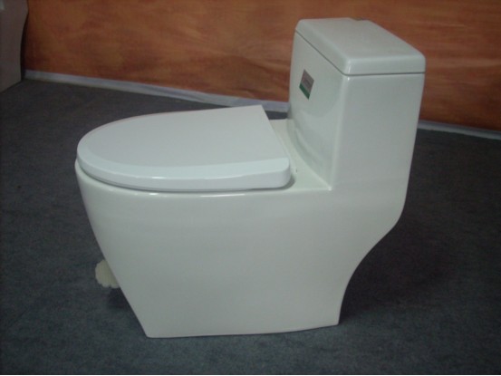 Foot Stepping Toilet