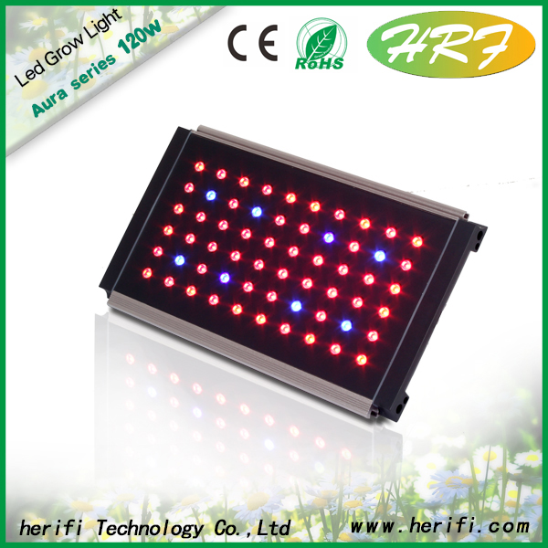 Herifi 2015 Aura Series 60x3w AU001 LED Grow Light and veg flowers