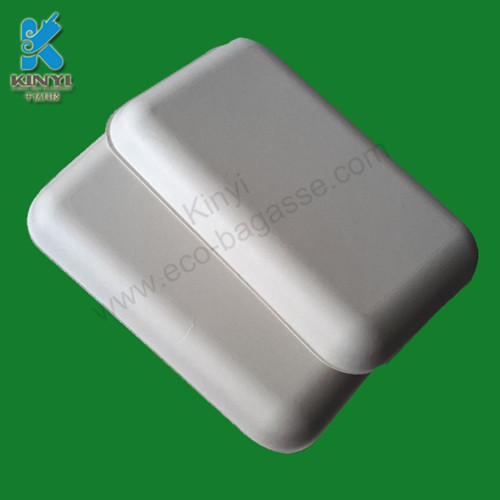 Biodegradable Bagasse Pulp Tray