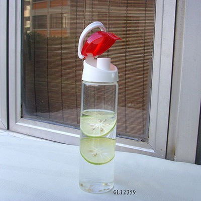 Boro Glass Drinking Bottle with PP Lid