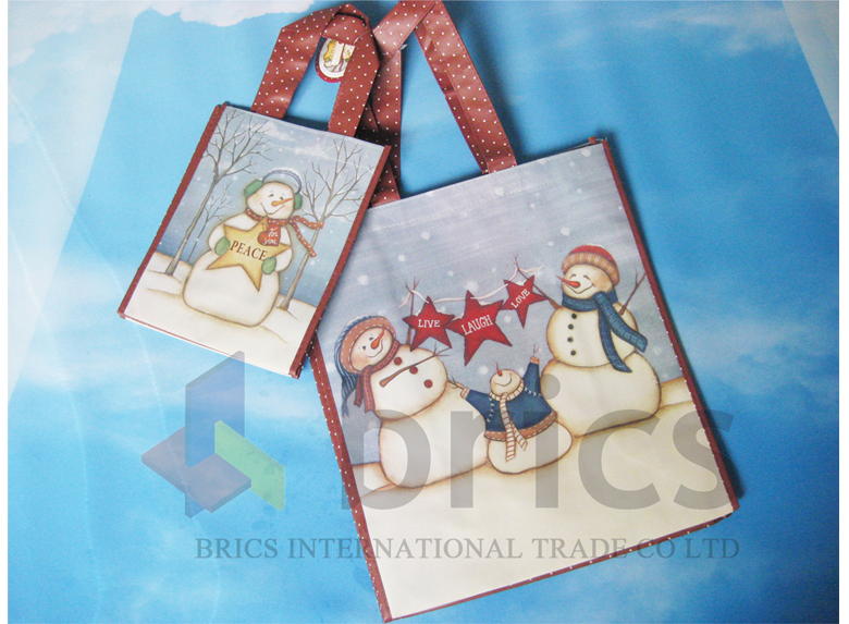 Eco-friendly Pp Woven Shopping Bag