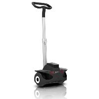 Two Wheel Self-balancing Personal Transporter China Segway Robin-m1