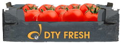Sell Fresh Tomatoes