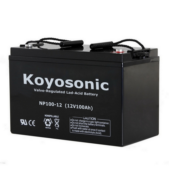 Sealed Lead Acid Battery –np100-12