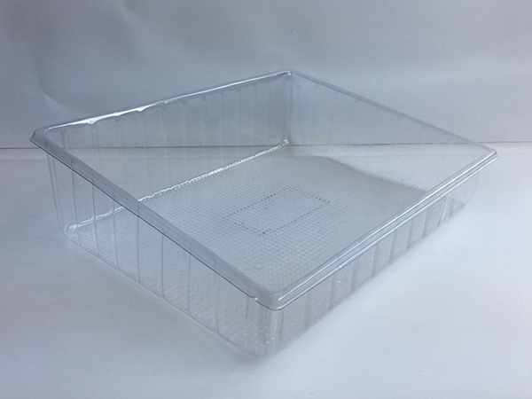 Blister Tray 2