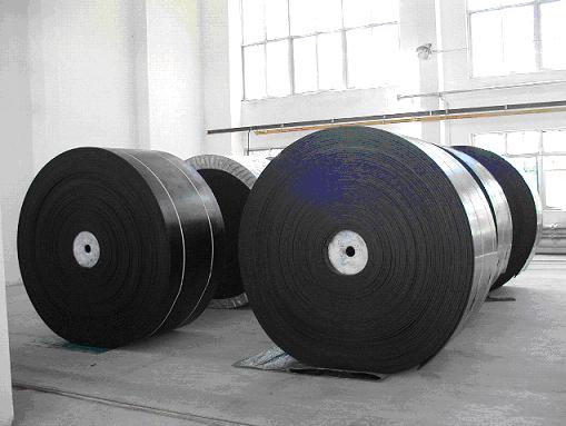 Polyester conveyor belt