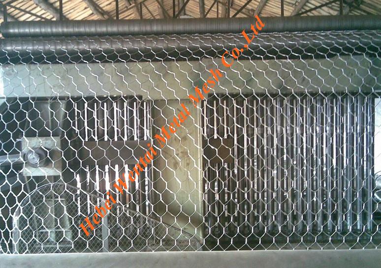 Hexagonal Wire Mesh / Gabion Mesh (anping Mesh)
