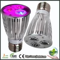 9w Led Spotlight