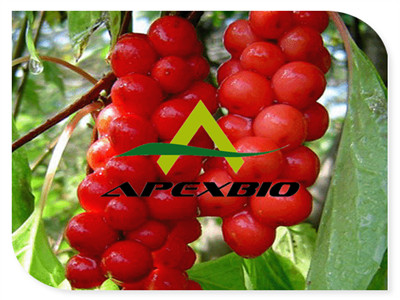 Sell Schisandra Chinensis Extract Powder