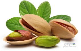 pistachio