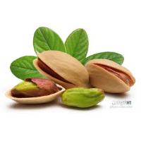 Pistachio