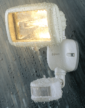 Motion Sensor Halogen Light