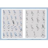 Zinc Alloy Snap Hook