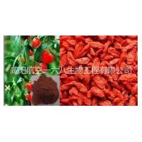 Sell Lycium Barbarum Polysaccharide