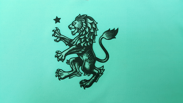 Print Silicon Transfer