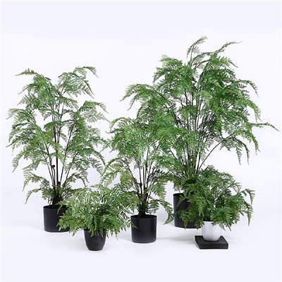 Sell Artificial Indoor Ferns with Multi Stems, YC037
