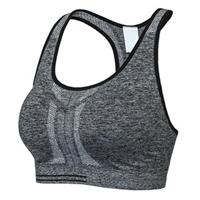 Sell Seamless Gym Fitness Bra , YL2SL20-006