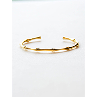 Classic Bangle