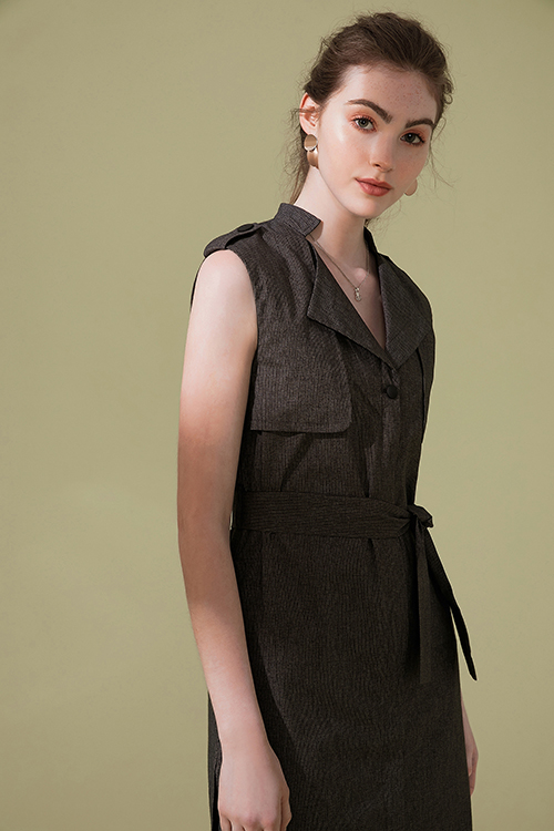 Julie Stripe Trench Dress