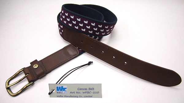 Canvas Belt