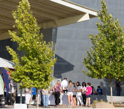 University application