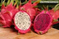 Fresh Dragon Fruit