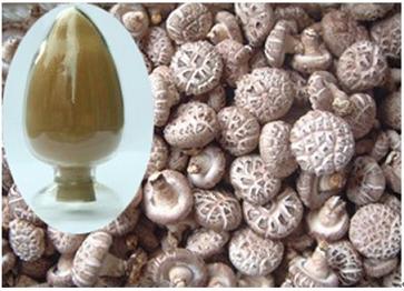 Sell High Purity, No Carriers, Lentinan Polysaccharide (shiitake Extract)