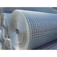 Sell Welded Wire Mesh(anping Factory)