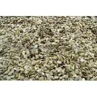 Sell Stock Up For Every Occasion With The Best Selection Of Pumpkin Seeds.