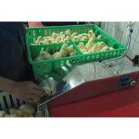 Sell Automatic Injection