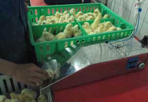 Sell Automatic Injection