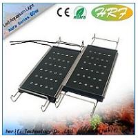 Hot Sale Aquarium Fish Bowl Led Lights Corals Controller With Remote Control