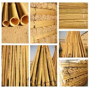 Bamboo Pole Stakes Of Plant Trellis