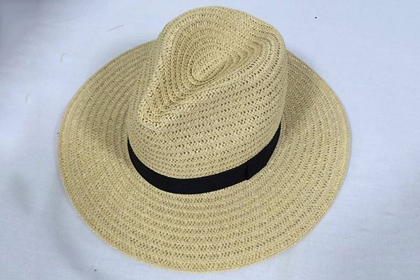 Wide Brim Straw Hat
