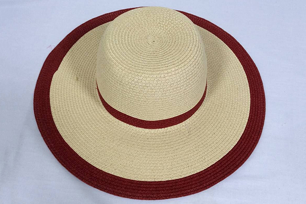 Straw Floppy Hat