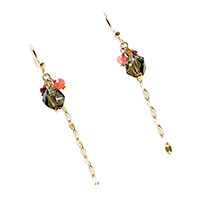 Silver Fish Hook Earrings with Gem Stones