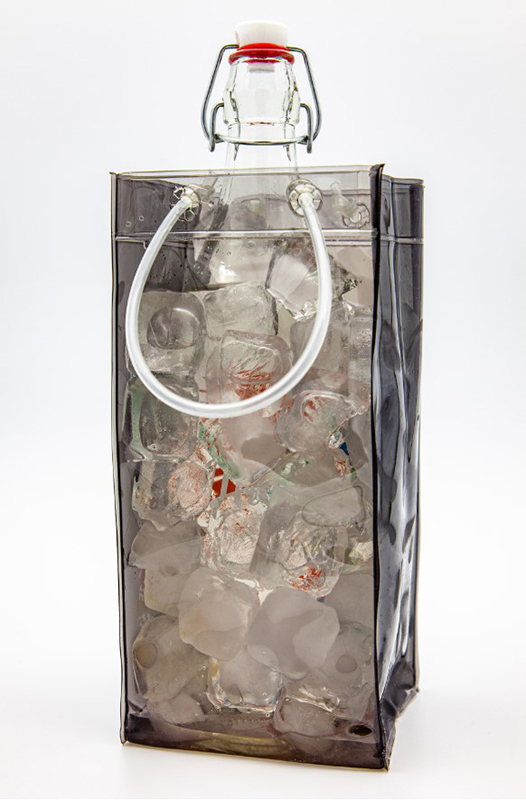 Clear Color Ice Cooler Bag