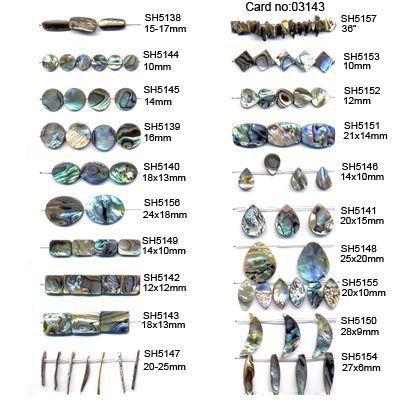 Abalone Shell